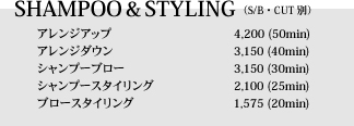 SHAMPOO & STYLING
